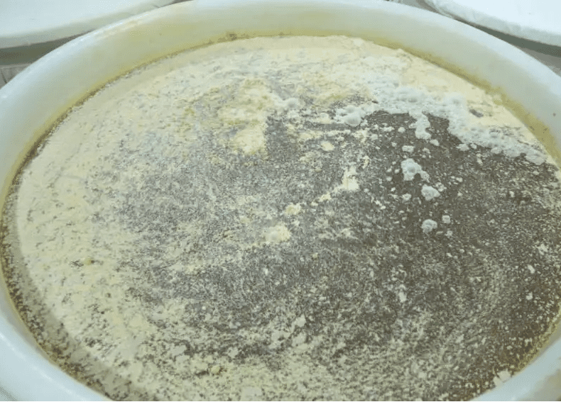 (圖:食品發酵起泡)